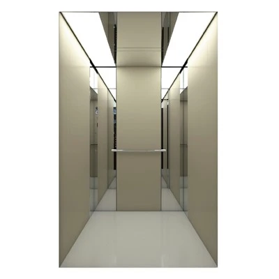 Ascenseur de passager électrique